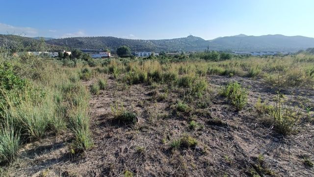 Parcela en Pedreguer 