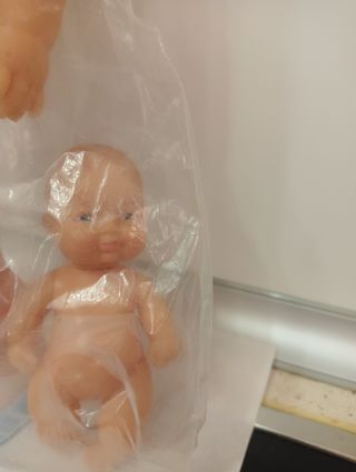 Dificilísima Paula holandesa