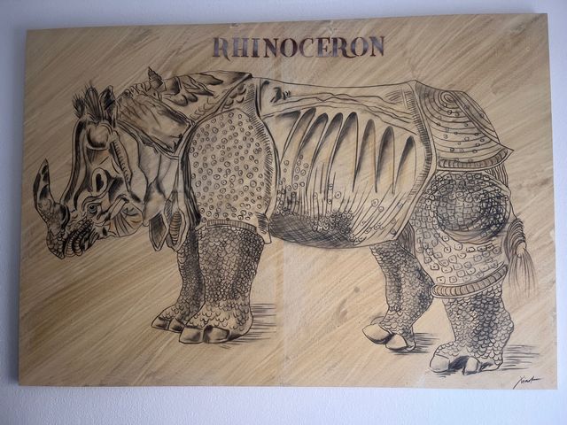 Gran cuadro en lienzo de rinoceronte