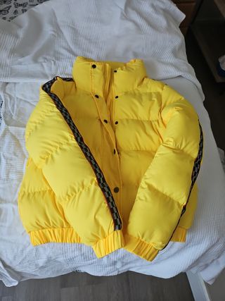 Pluma amarillo 