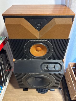 B&W DM6 ALTAVEUS