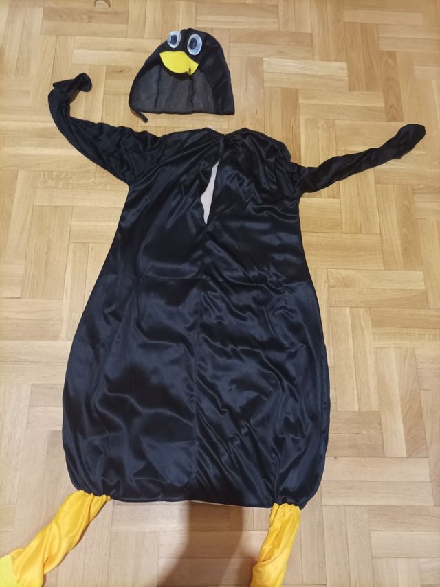 Disfraz niño 7-9 años