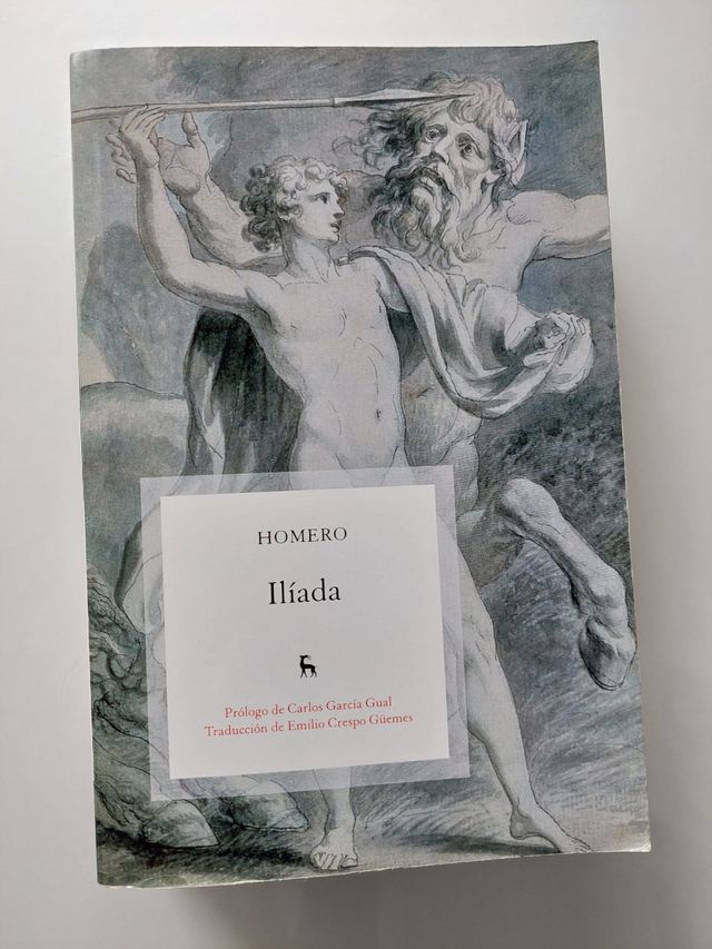 La Ilíada: Biblioteca de Grandes Escritores (Spanish Edition)