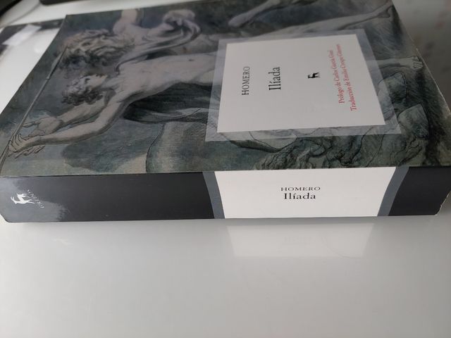 La Ilíada: Biblioteca de Grandes Escritores (Spanish Edition)