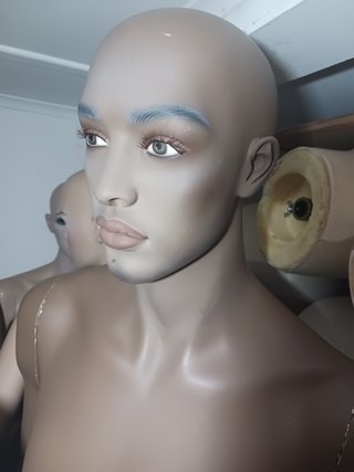 Manequim mulato inteiro