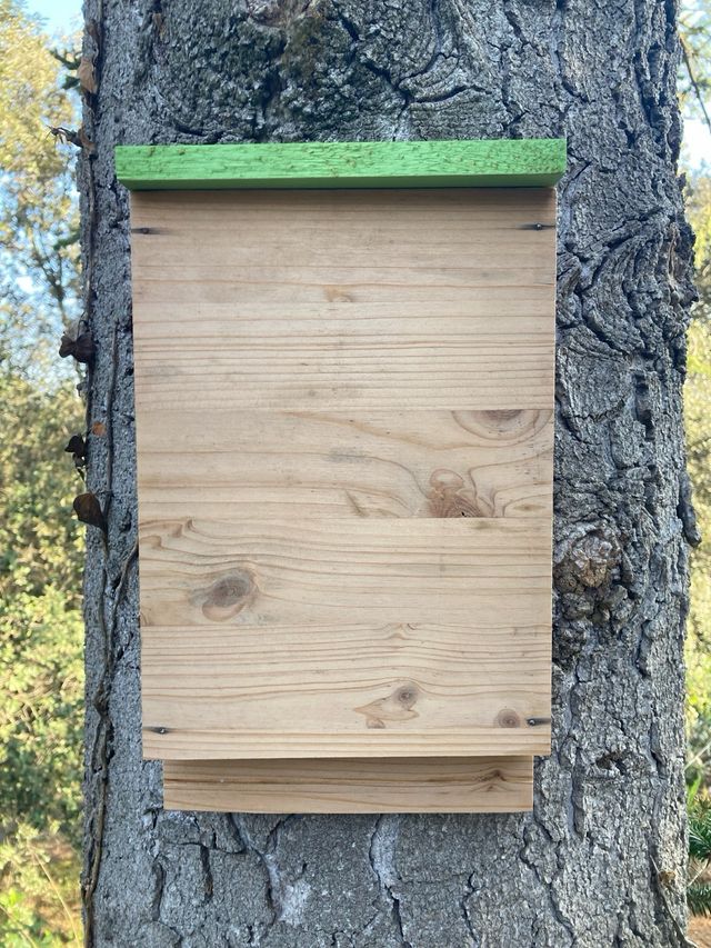 Caja nido murcielagos  0 Mosquitos