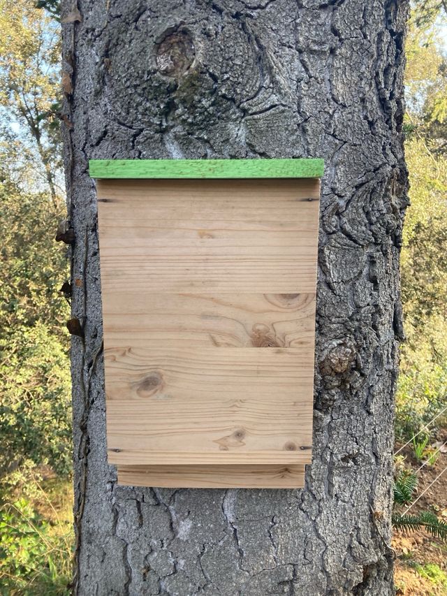 Caja nido murcielagos  0 Mosquitos