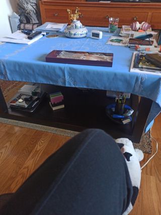 Cjto Pajarita con Fajín a estrenar