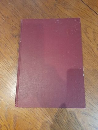 Los golfillos de Madrid