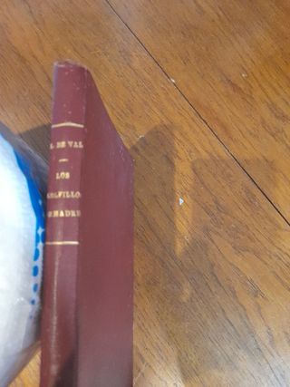 Los golfillos de Madrid