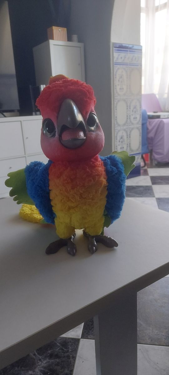 Lolo mi loro molón