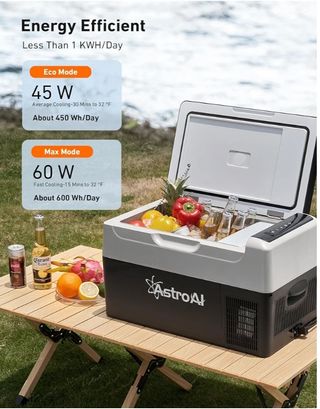 Nevera, congelador , compresor eléctrico 22L