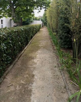 Jardinero economíco 