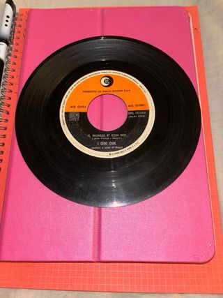 Un Vinile SENZA COPERTINA Raro 45 Giri:I DIK DIK”S