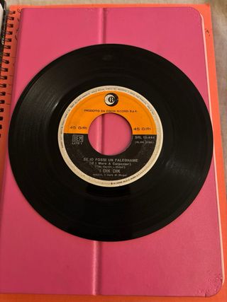Un Vinile SENZA COPERTINA Raro 45 Giri:I DIK DIK”S