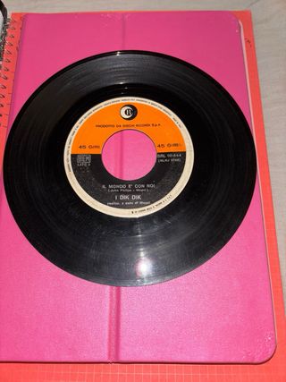 Un Vinile SENZA COPERTINA Raro 45 Giri:I DIK DIK”S