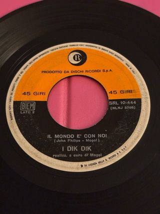 Un Vinile SENZA COPERTINA Raro 45 Giri:I DIK DIK”S