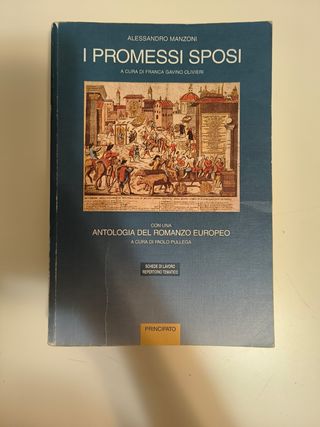 Testo "I promessi sposi"