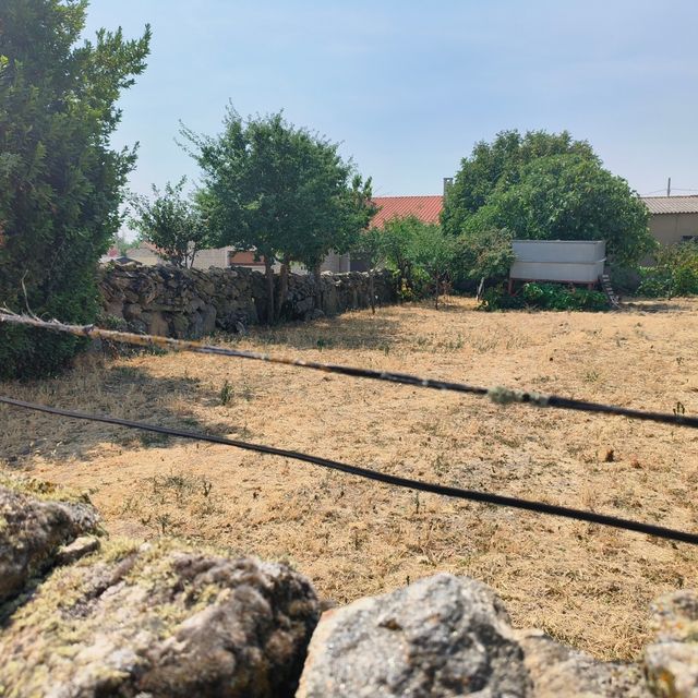 Nave agrícola junto con terreno