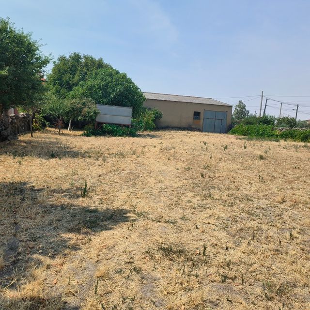 Nave agrícola junto con terreno