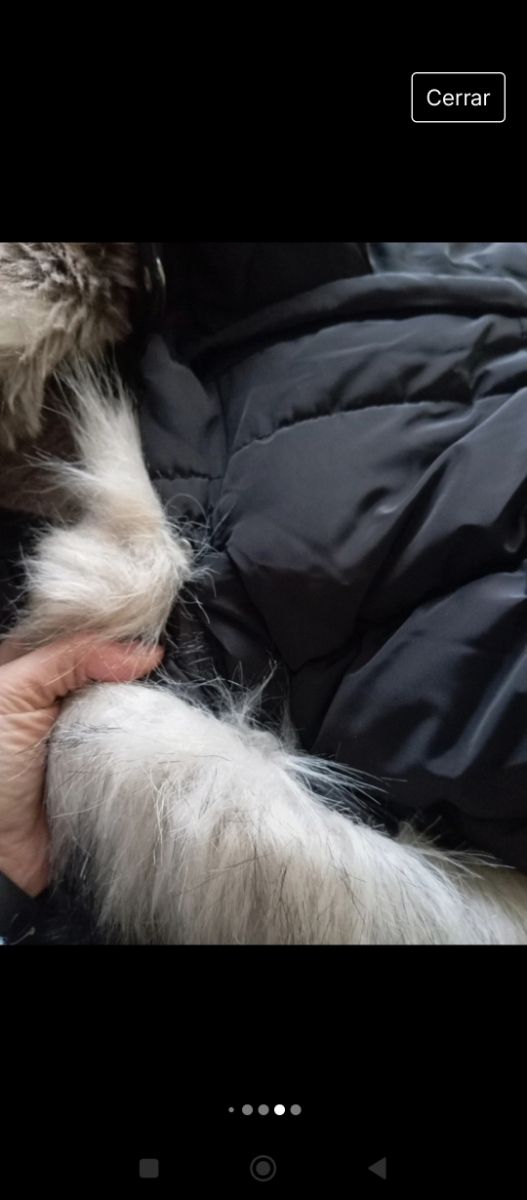 Abrigo mujer Navahoo