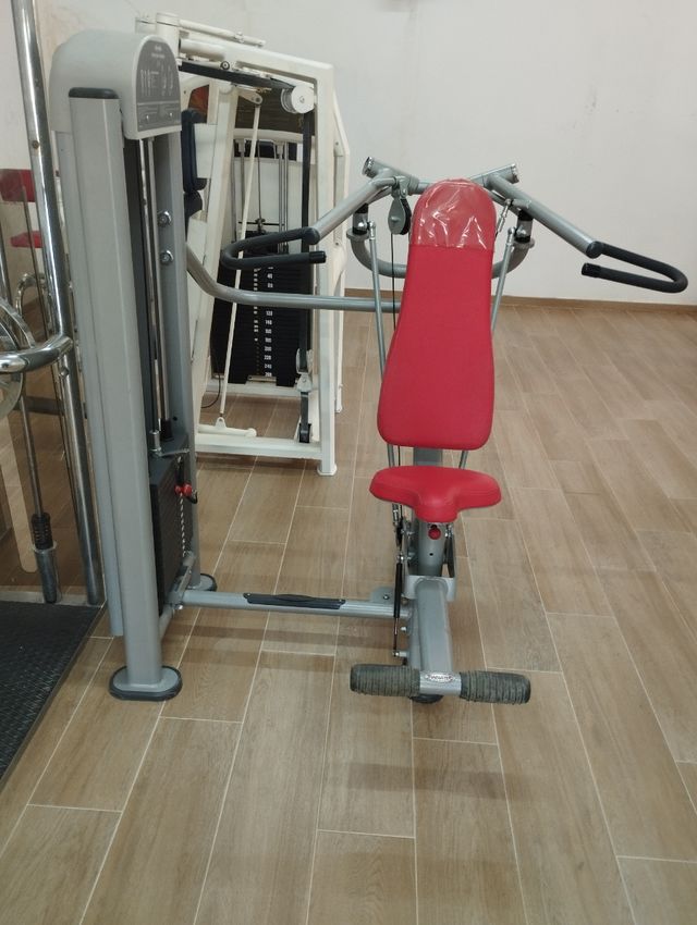 Press de hombros de placas Panata.