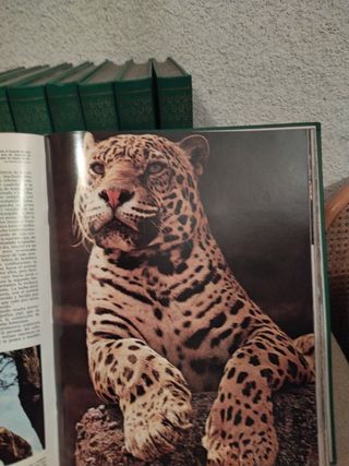 8 Libros del mundo de los animales