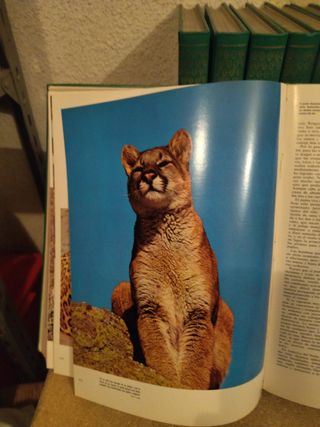 8 Libros del mundo de los animales