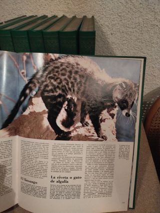8 Libros del mundo de los animales