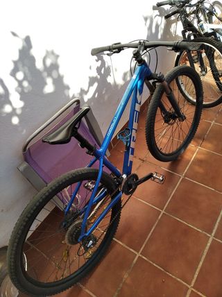 Trek marlin 6