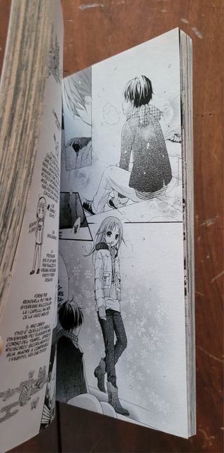 Il Ventaglio Scarlatto volume n. 1