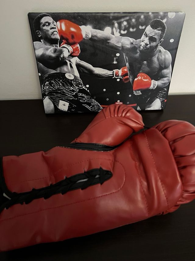 Mike tyson guantone autografato piu quadr