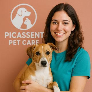 Cuidado de mascotas Picassent Pet Care