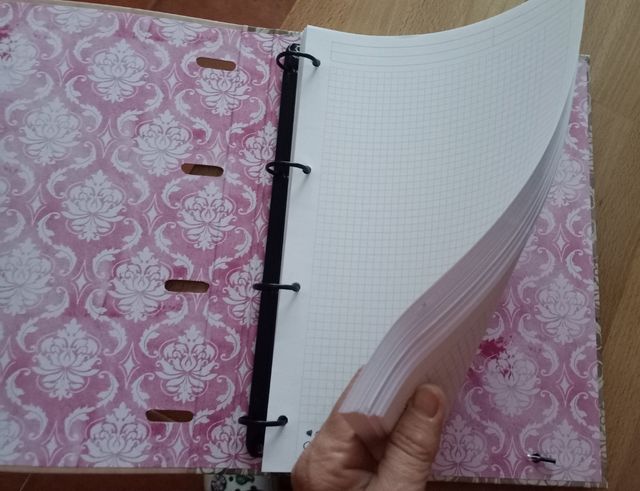 Carpeta 4 anillas con hojas, Santoro