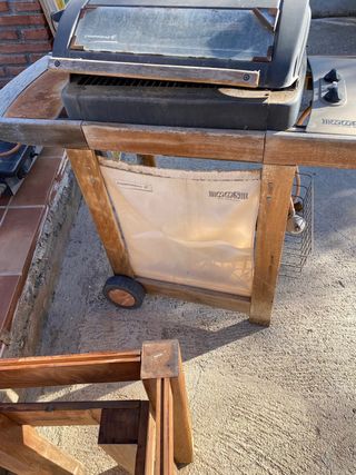 Barbacoa de gas y de carbon