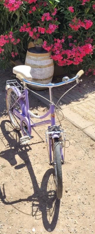 Bicicleta Rabassa classic