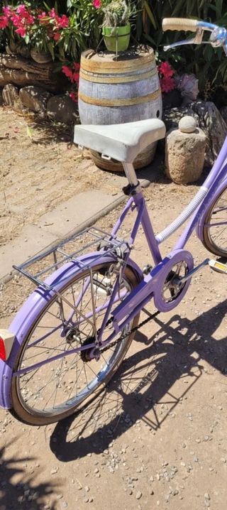 Bicicleta Rabassa classic