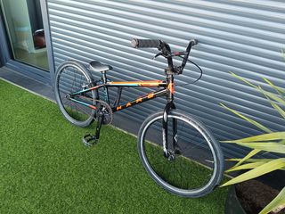 BMX Race talla Expert