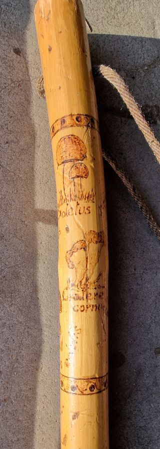 BASTONES ARTIGIANALES