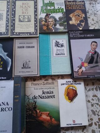 14 libros! Biografías Clásicos españoles Novelas..