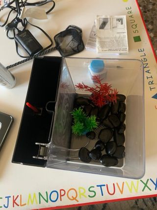 Acuario pequeño