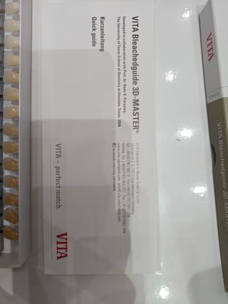 Vita bleachedguide 3D-MASTER