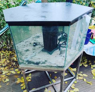 Acuario de 1200l