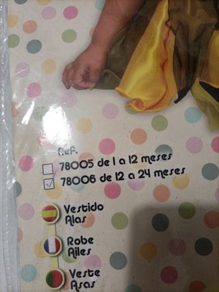 Disfraz de abejita