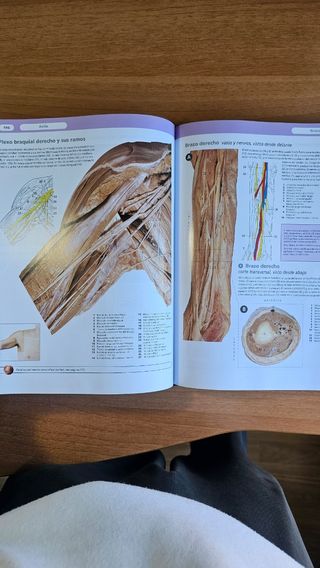 LIBRO ANATOMÍA PARA MEDICINA (Atlas McMinn)