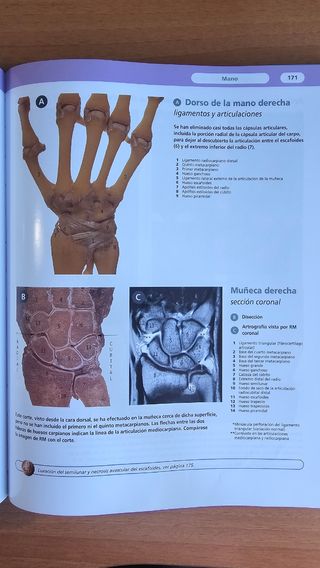 LIBRO ANATOMÍA PARA MEDICINA (Atlas McMinn)