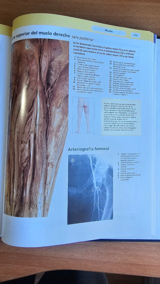 LIBRO ANATOMÍA PARA MEDICINA (Atlas McMinn)