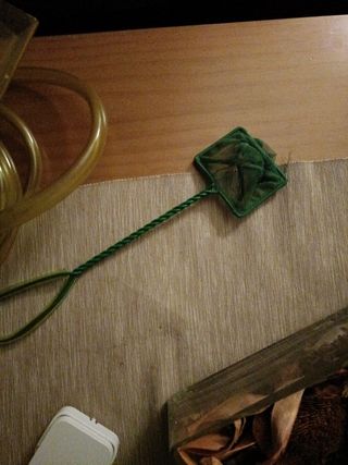 Limpiador fondo peceras