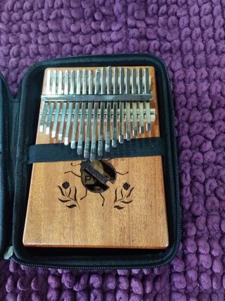 (Nueva) Kalimba Gewa (F835550) Beetle