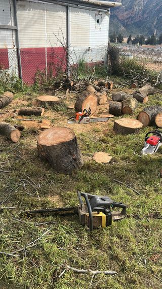 Podas / Desbroces / Talas / Mantenimiento